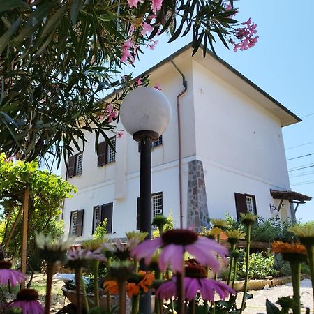 AnsedóniaLa Domus Di Cosa住宿加早餐旅馆 外观 照片