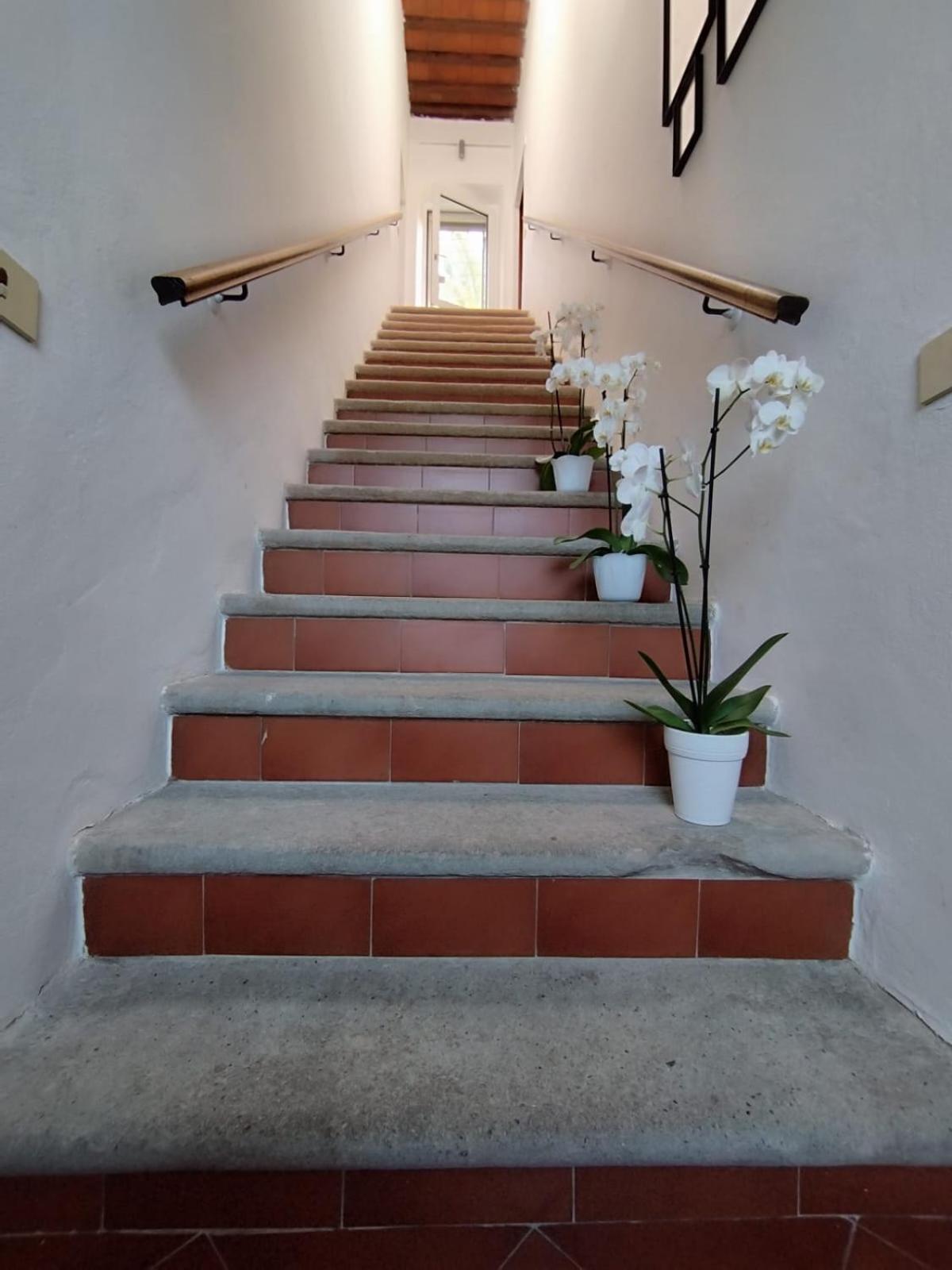 AnsedóniaLa Domus Di Cosa住宿加早餐旅馆 外观 照片