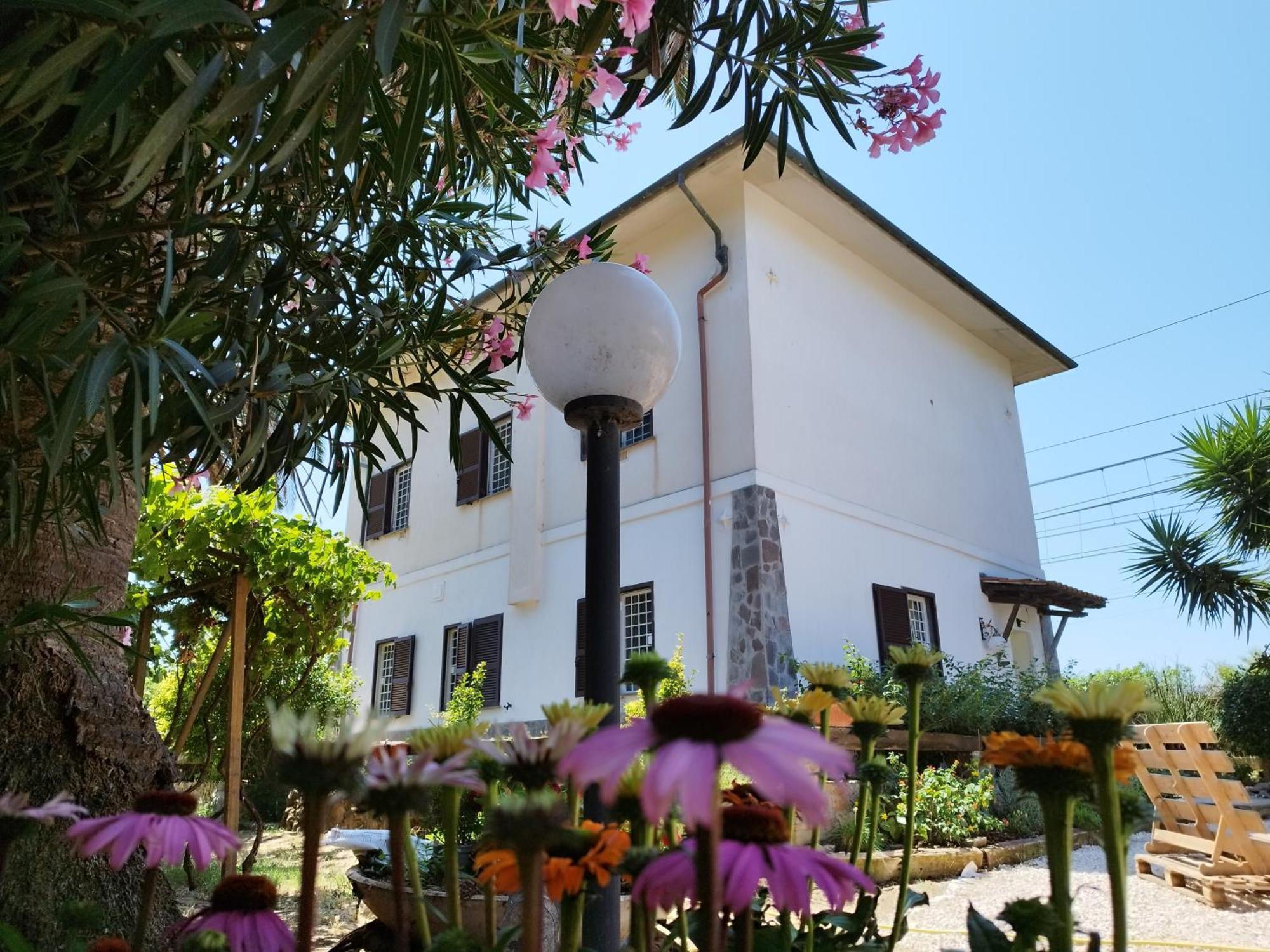 AnsedóniaLa Domus Di Cosa住宿加早餐旅馆 外观 照片
